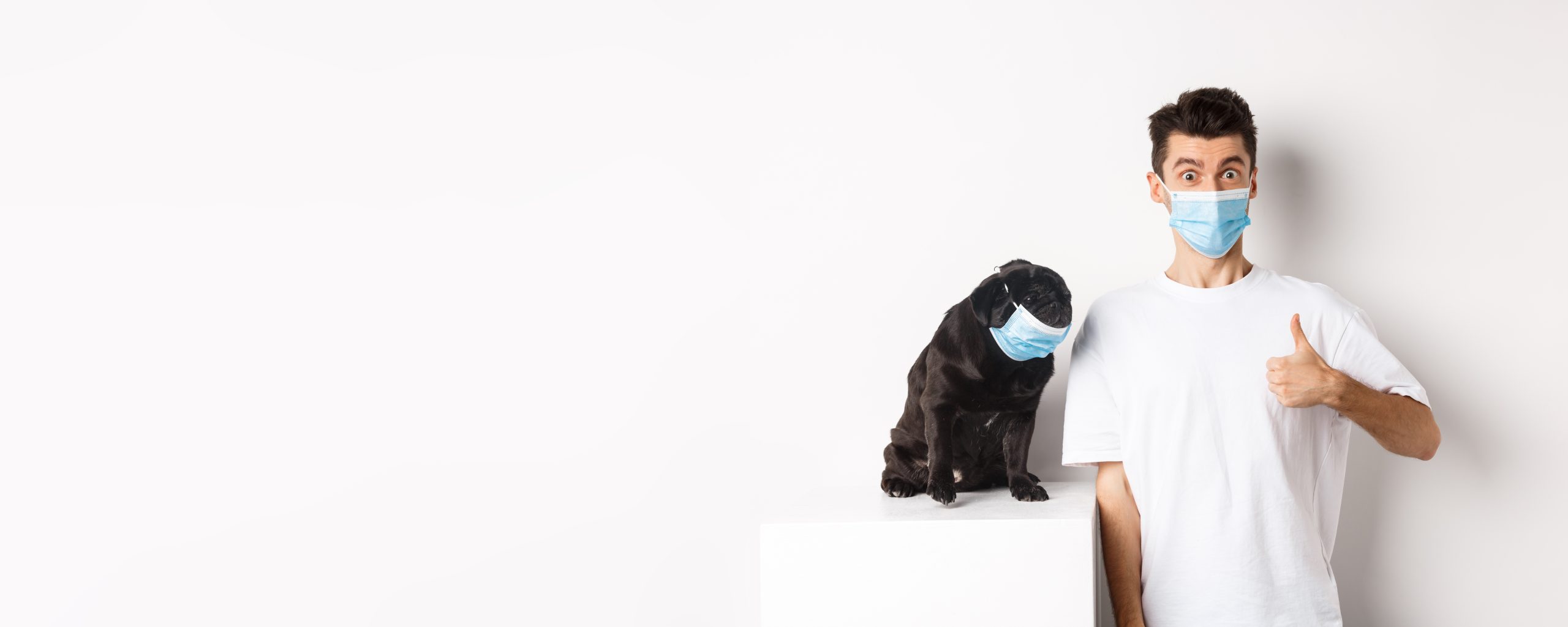 Covid-19, animals and quarantine concept. Image of funny young man and small dog in medical masks, owner showing thumb up in approval, praise something, white background